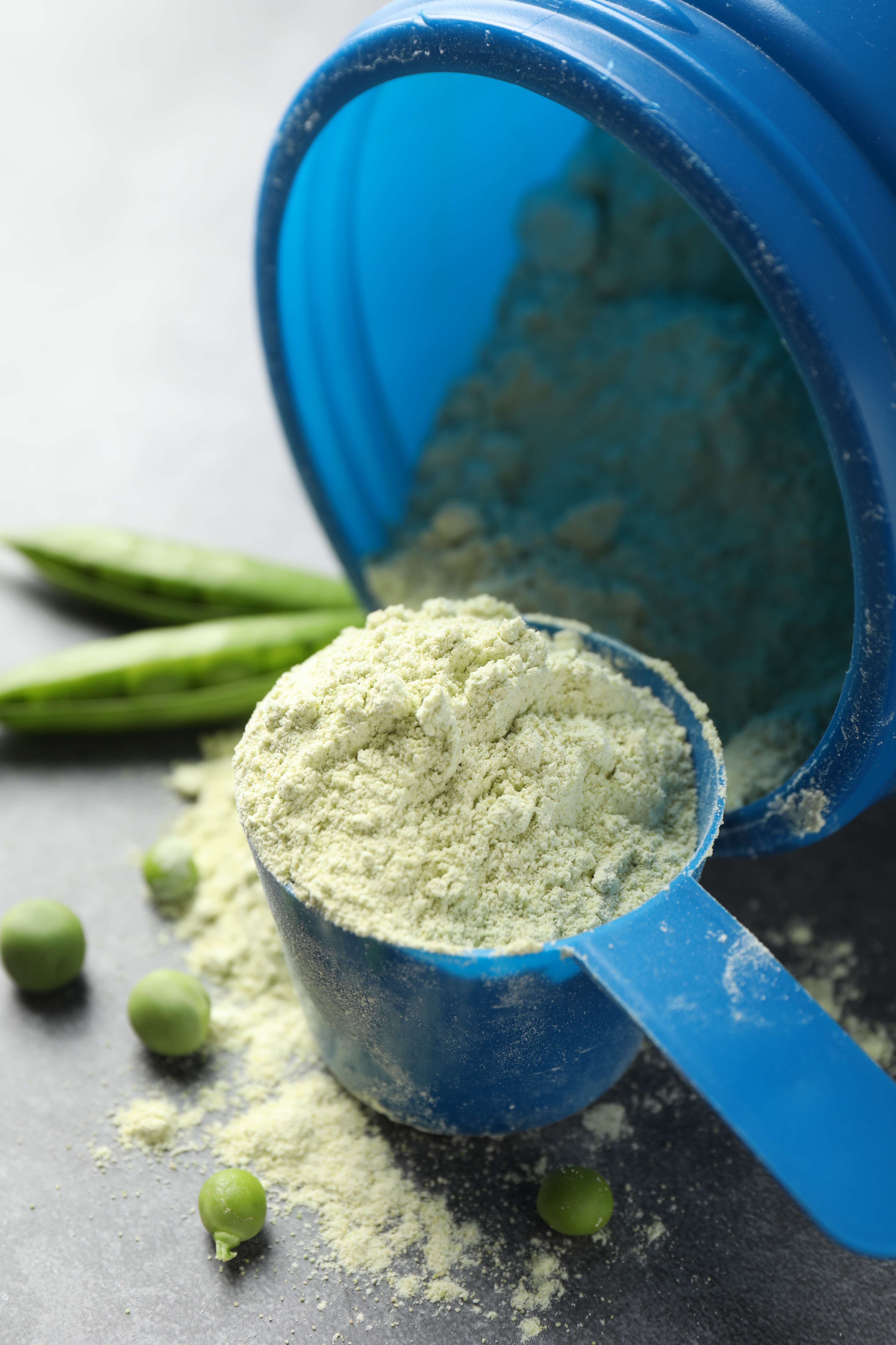 Organic Protein Powder